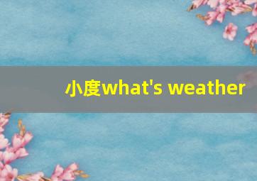 小度what's weather